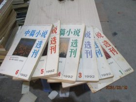 中篇小说选刊1992年1-6期  第一期缺后壳   品如图   36-2号柜