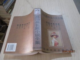 莫泊桑长篇小说全集   湖南文艺出版社  4-2号柜