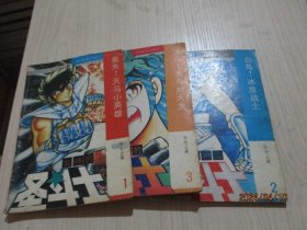 女神的圣斗士  黄金圣衣卷（1、4、5）车田正美（1、2、3）十二神殿卷（4）女神的危难卷（1、3） 9本合售  品如图   36-8号柜