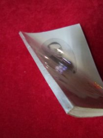 陈少白先生年谱(初稿)