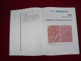 组织病理学彩色图谱（一版一印）