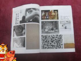（正版现货）（美术月刊）江苏画刊 （2001.9）（第49届威尼斯艺术双年展）（邵戈作品）