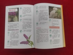 新编居家健康花草大全（超值全彩珍藏版）