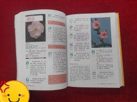 新编居家健康花草大全（超值全彩珍藏版）