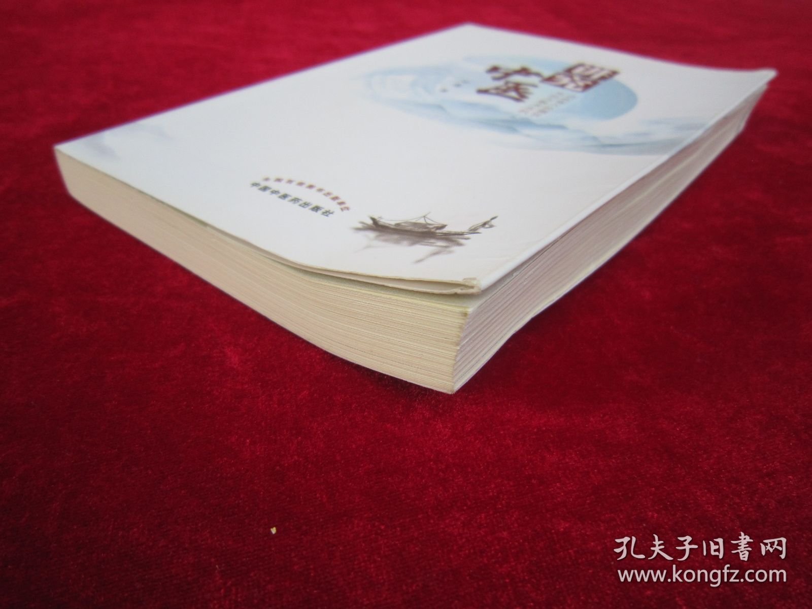 讲究中医（一版一印）