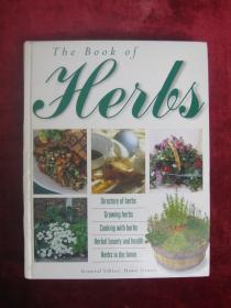 （英文原版）The Book of Herbs（药典）（用草药烹饪）（罗勒、酸模，酸叶草、紫锥菊、茴香汤、往茄子里塞馅儿、制作碳粉）（16开硬精装全彩铜版纸）（包邮）