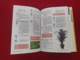 新编居家健康花草大全（超值全彩珍藏版）