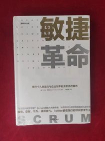 敏捷革命:提升个人创造力与企业效率的全新协作模式（未拆封）