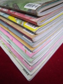 文艺风象(2012:1-12)(12本合售)(第1、2、3、6、7期附送小许赠品)(包邮)