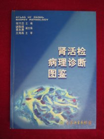 肾活检病理诊断图鉴（一版一印）（印量3050册）