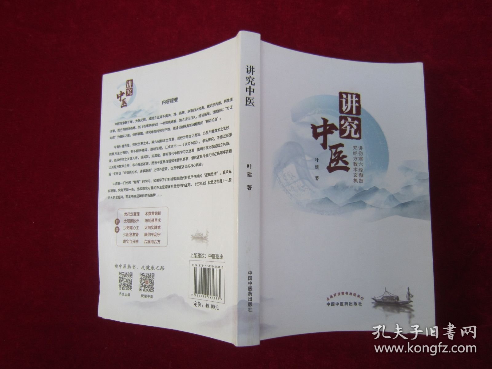 讲究中医（一版一印）
