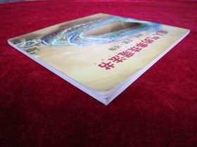 超人气的串珠魔法书.项链、手链、耳饰(一版一印)(印量5000册)