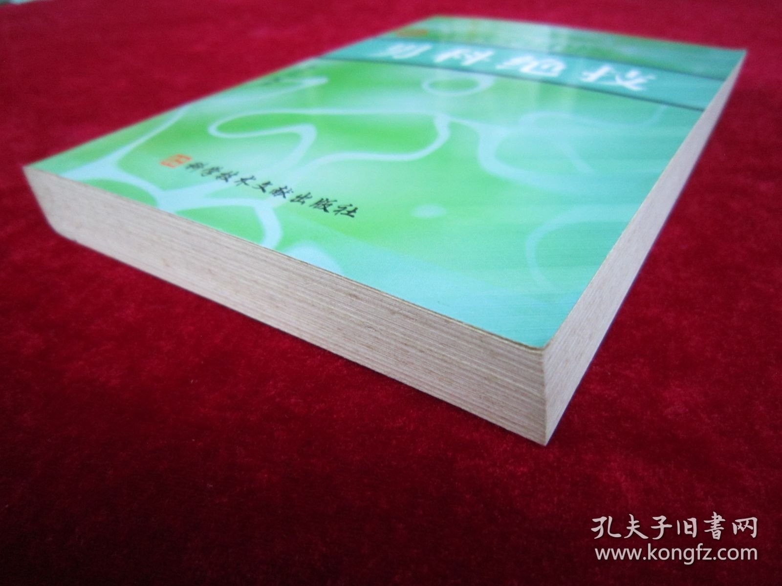 现代名中医男科绝技