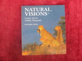 （英文原版）NATURAL VISIONS（自然视野）Creative Tips for Wildlife Photography（野生动物摄影的创意技巧）（12开全彩铜版纸）