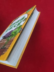 新编居家健康花草大全（超值全彩珍藏版）