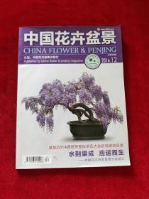 中国花卉盆景 2014年第12期