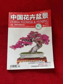 中国花卉盆景 2015年第1期