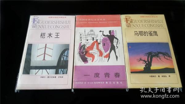 法国二十世纪文学丛书  一度青春  私藏好品