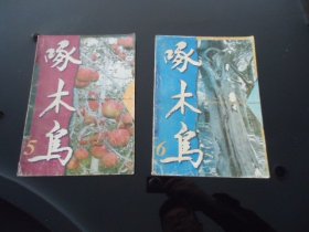 啄木鸟 1996年（5、6）