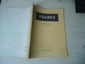 中国动物图谱 软体动物 第三册
