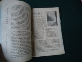 东方红 1981年