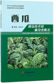 小西瓜种植技术视频U盘（如何种植西瓜）书