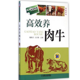 肉牛养殖技术视频大全U盘（鲁西黄牛 母牛的饲养管理） 4书高效养肉牛