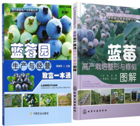 蓝莓种植技术视频U盘 （如何种植蓝莓）书蓝莓园生产与经营致富一本通