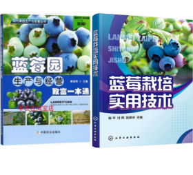 蓝莓种植技术视频U盘（蓝莓整形修剪、土肥水、花果管理、病虫害防治技术）书蓝莓园生产与经营致富一本通