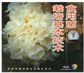 食用菌高效栽培技术视频U盘（一级、二级、三级菌种的培育技术）书籍食用菌菌种生产技术