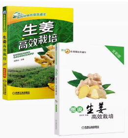 大姜种植技术2视频U盘（生姜怎样栽培管理）2书图说生姜高效栽培