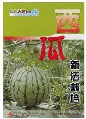 西瓜种植技术视频U盘（无籽西瓜栽培技术）4 书 西瓜生产百事通