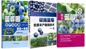 蓝莓种植技术视频U盘 （蓝莓种植方法与管理技术）3书图说蓝莓整形修剪与12月栽培管理