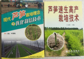 芦笋露地栽培技术视频U盘 5书芦笋速生高产栽培技术