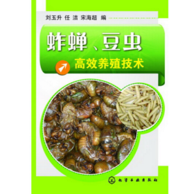 豆丹养殖技术视频U盘（豆青虫养殖方法） 书蚱蝉 豆虫高效养殖技术