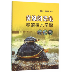 观赏龟视频U盘 书黄缘闭壳龟养殖技术图谱