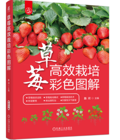 温室草莓种植技术视频U盘 （草莓怎么种植） 2023新版书草莓高效栽培彩色图解