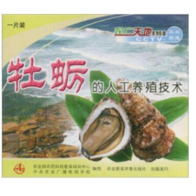 牡蛎文蛤东风螺的养殖技术视频U盘 书贝类安全生产指南