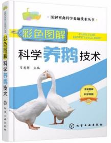 鹅人工养殖技术视频U盘（肉鹅怎么养）书 彩色图解科学养鹅技术 全彩版