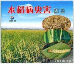 水稻高产栽培技术视频U盘 书水稻除草剂使用技术图解