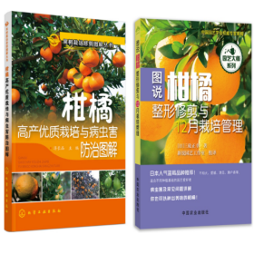 柑桔种植技术视频U盘（怎么种植桔子树） 2书图说柑橘整形修剪与12月栽培管理
