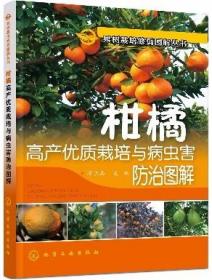 柑橘种植技术培训资料大全沃柑种植技术视频U盘 中国现代柑橘技术书