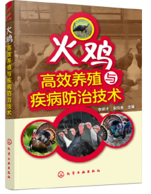 火鸡饲养管理技术视频 U盘 书火鸡高效养殖与疾病防治技术