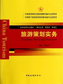 旅游策划实务