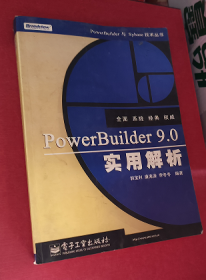 PowerBuilder 9.0实用解析