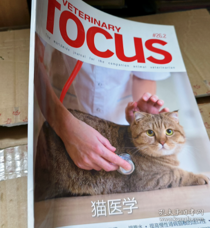 veterinary focus 猫医学