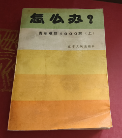 怎么办？青年难题1000解 上