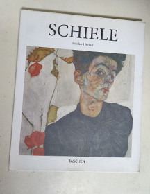 Schiele 埃贡 席勒 表现主义艺术画册