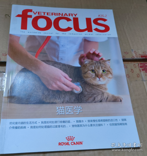 veterinary focus 猫医学