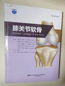 膝关节软骨